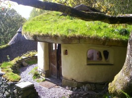 cob-home-living-roof